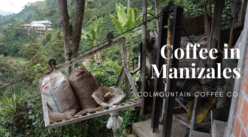 Coffee in Manizales With Passion and Quality